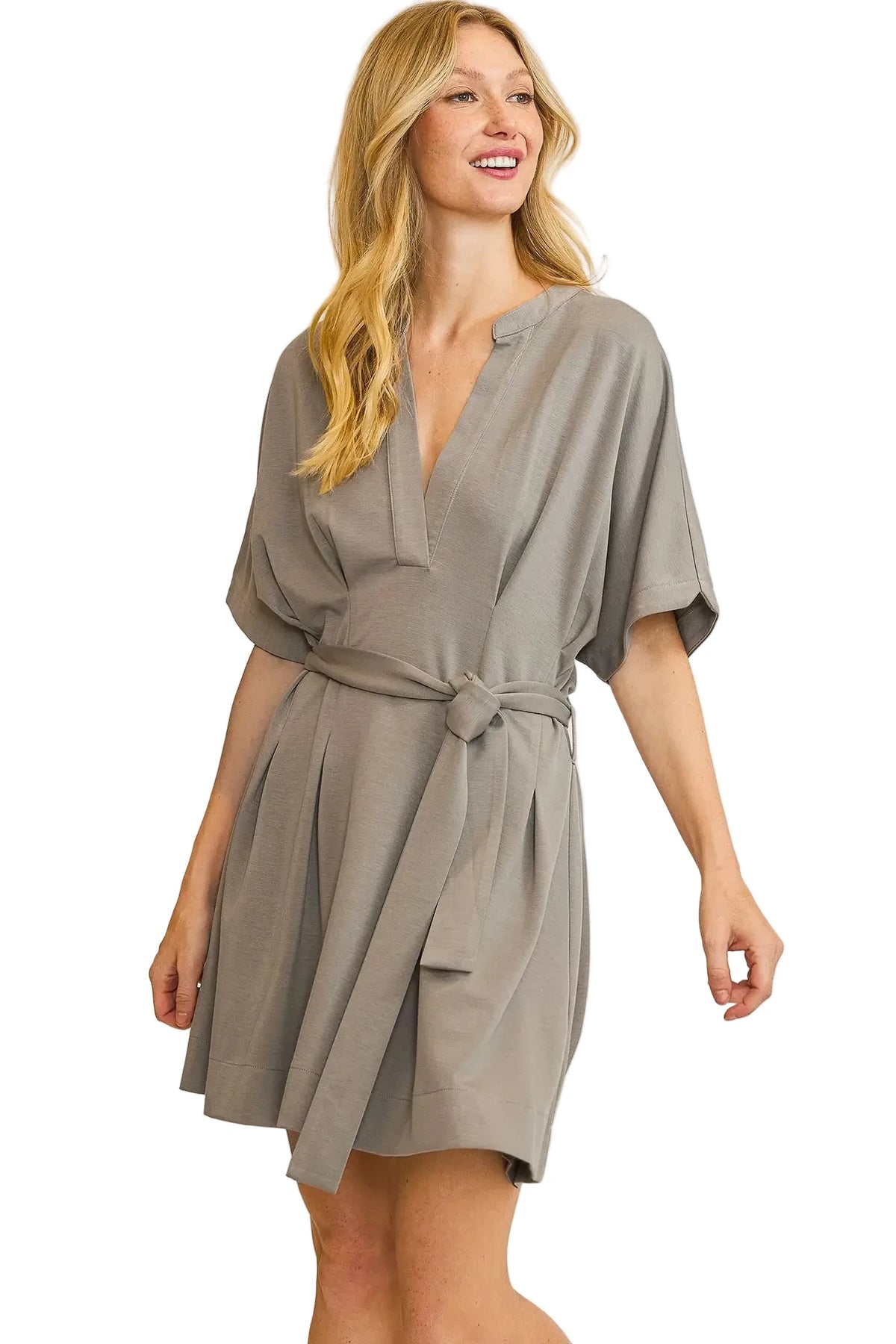 Stone Pleated Dress