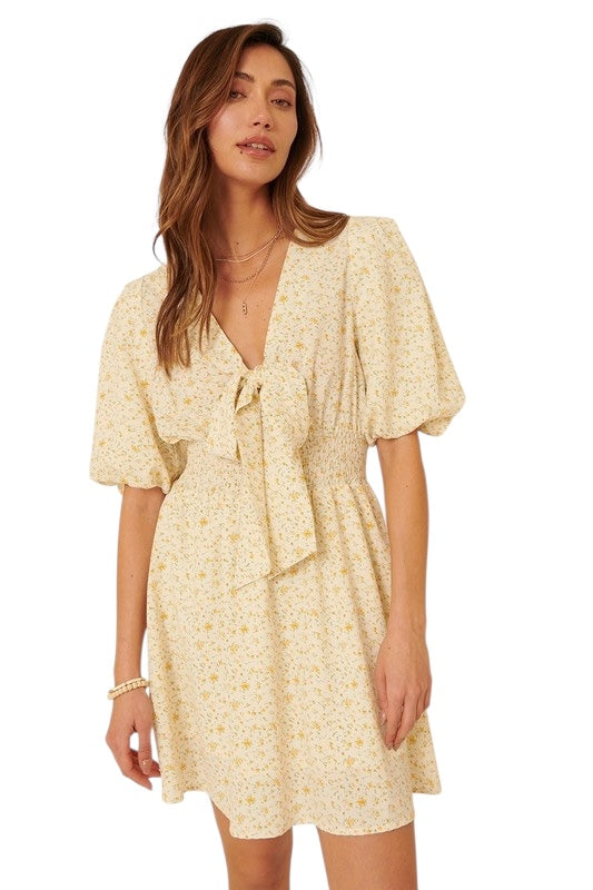 Dinner On The Terrace Dress
