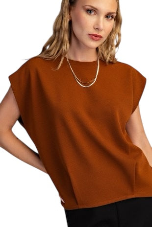Stay In Style Camel Top